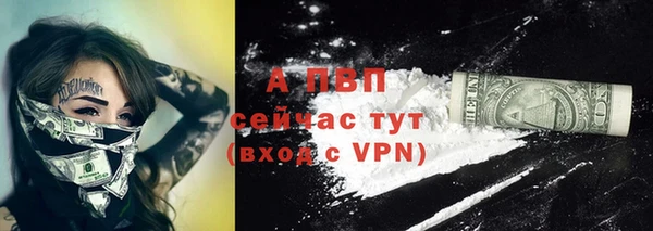 марки lsd Белокуриха