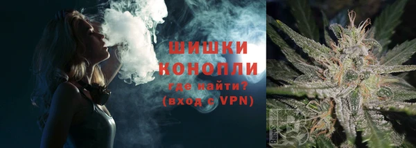 ПСИЛОЦИБИНОВЫЕ ГРИБЫ Белоозёрский