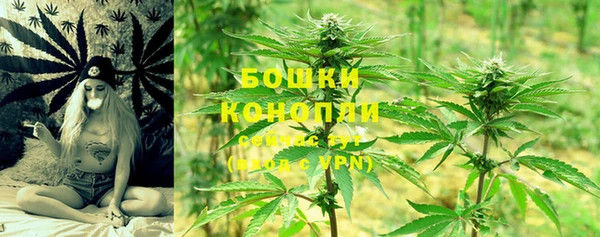 марки lsd Белокуриха