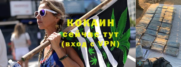 ПСИЛОЦИБИНОВЫЕ ГРИБЫ Белоозёрский