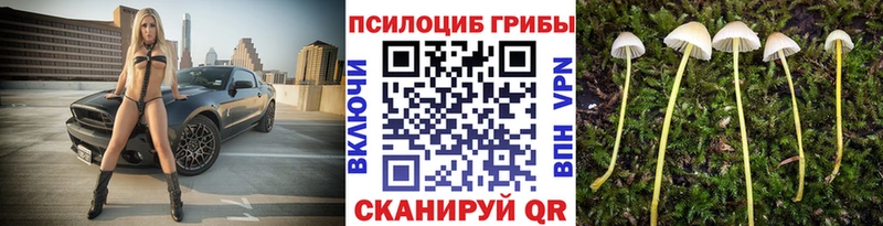 купить  сайты  MEGA как зайти  Галлюциногенные грибы Cubensis  Демидов 